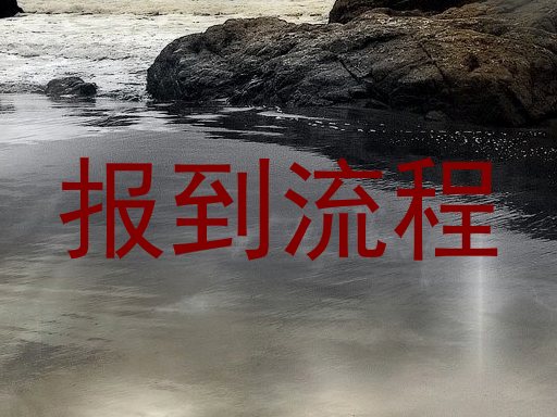 报到流程