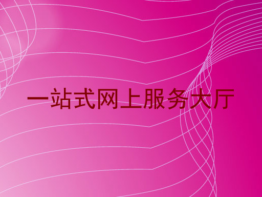 一站式网上服务大厅