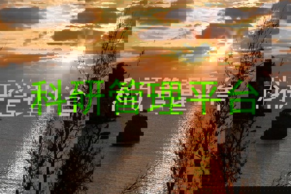 科研管理平台