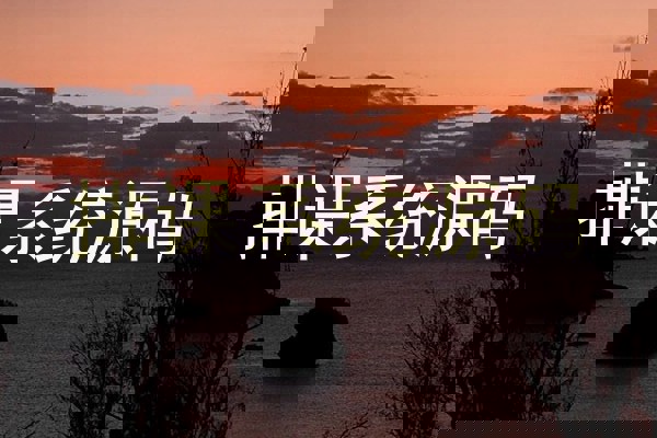 排课系统源码