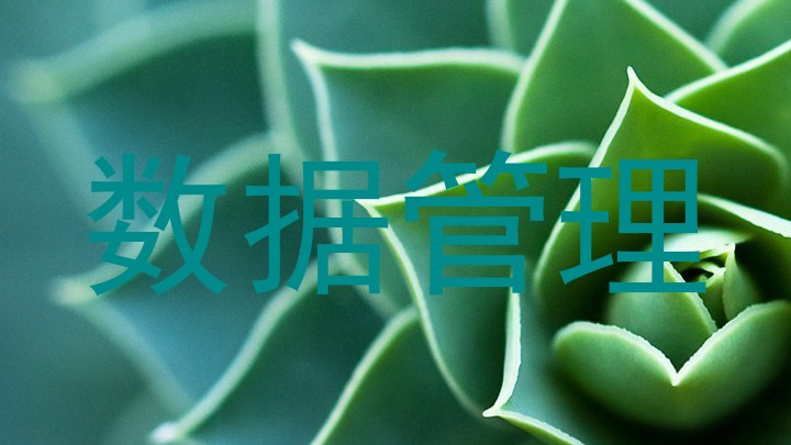 数据管理