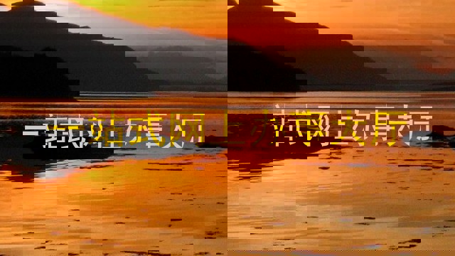 一站式网上办事大厅