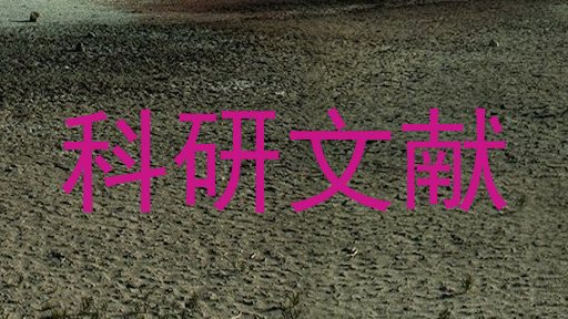 科研文献