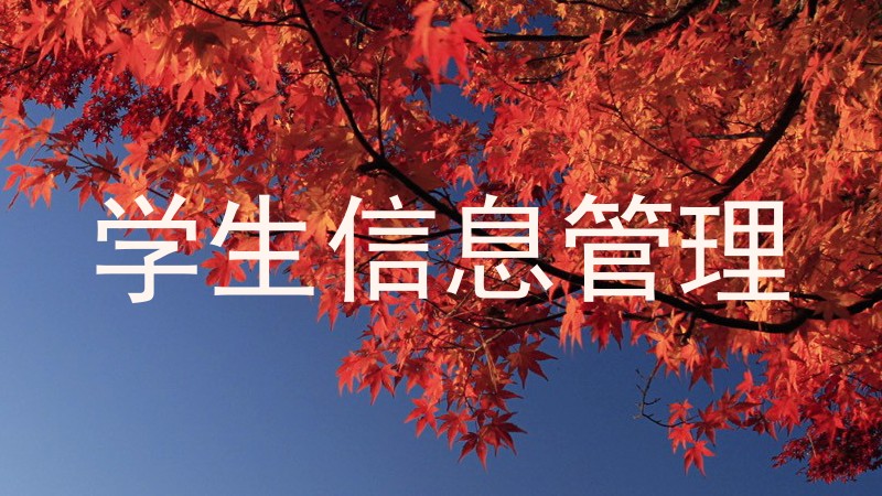 学生信息管理