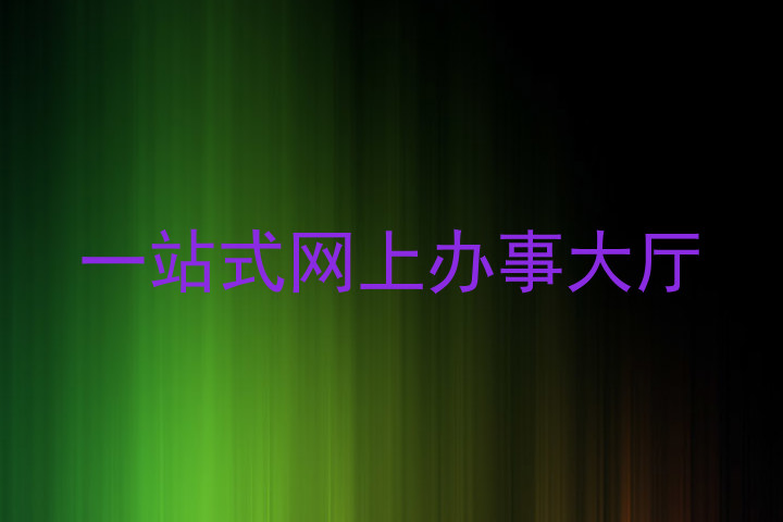 一站式网上办事大厅