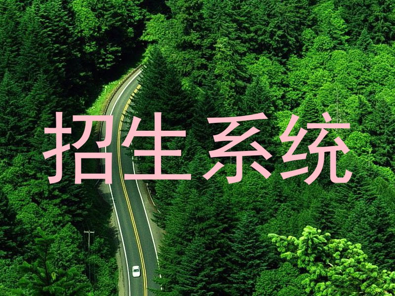 招生系统