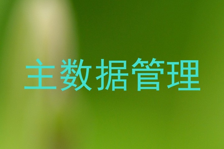 主数据管理
