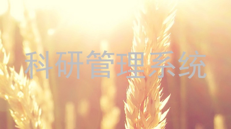 科研管理系统