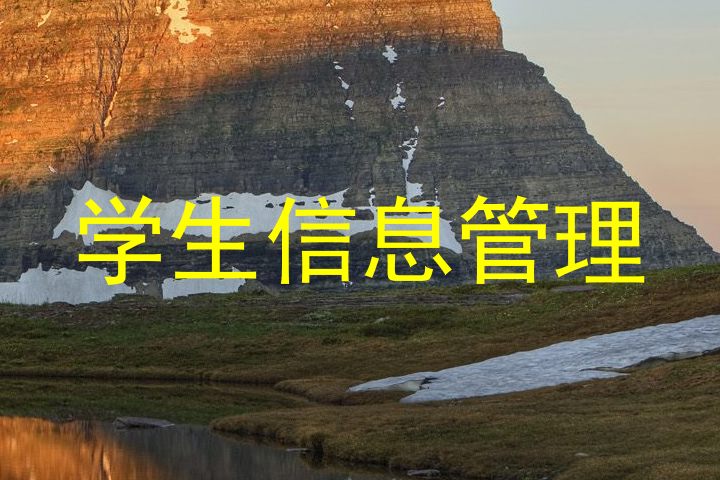 学生信息管理