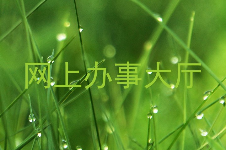 网上办事大厅