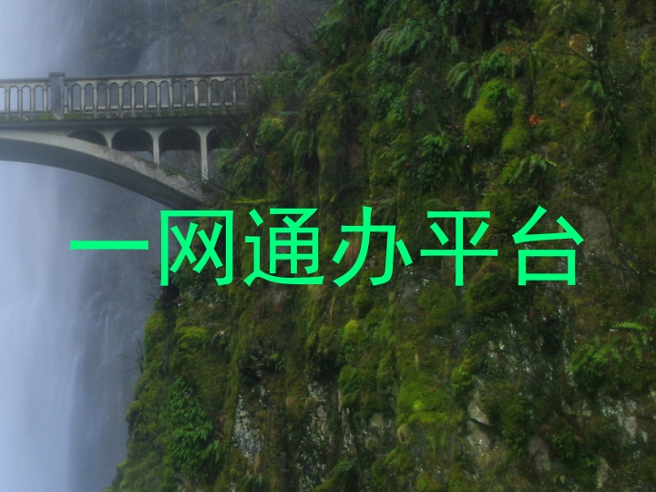 一网通办平台