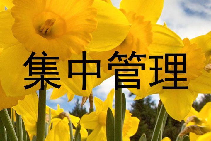 集中管理