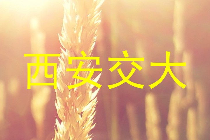 西安交大