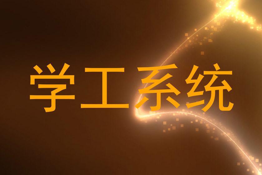 学工系统