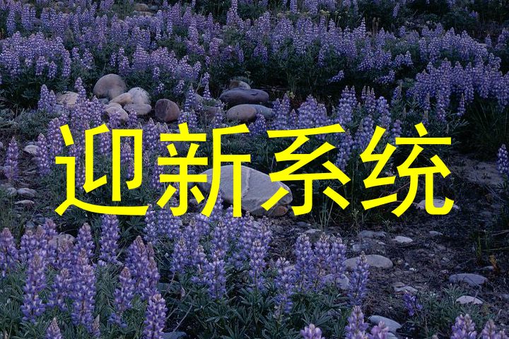 迎新系统