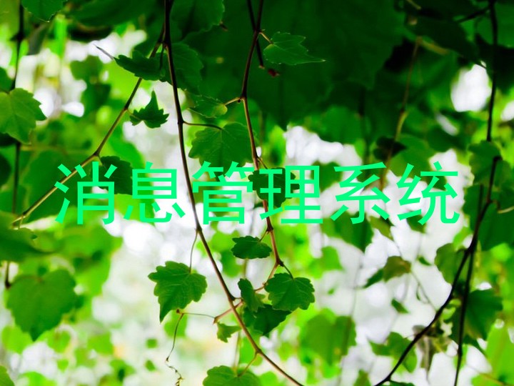 消息管理系統(tǒng)