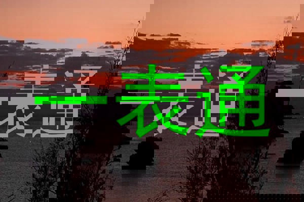 一表通