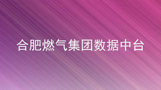 合肥燃气集团数据中台