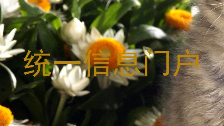 統(tǒng)一信息門戶