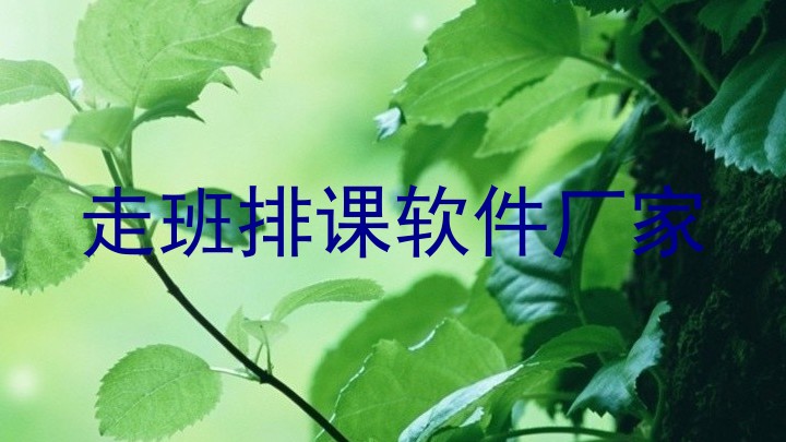 走班排课软件厂家