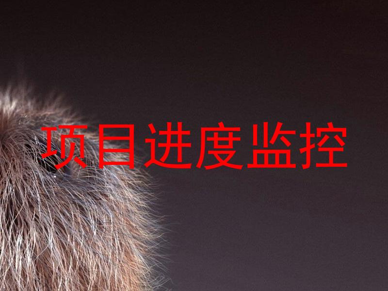 项目进度监控