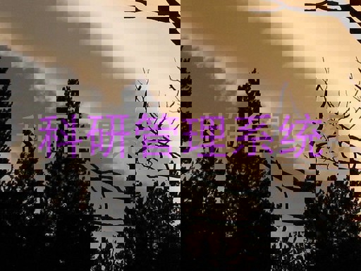 科研管理系统