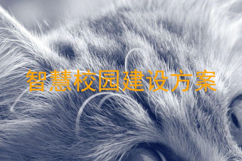 智慧校園建設(shè)方案