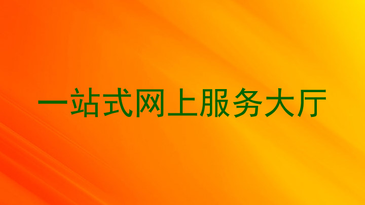 一站式网上服务大厅