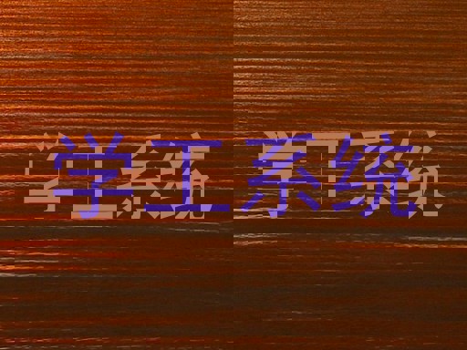 学工系统