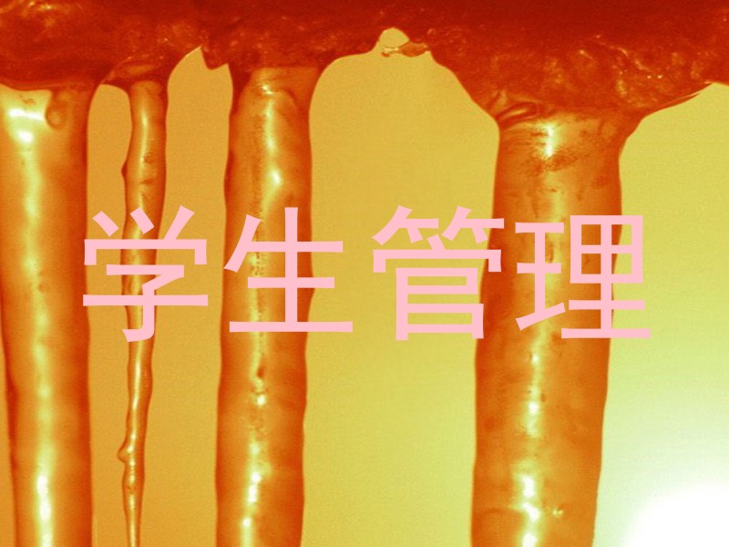 学生管理