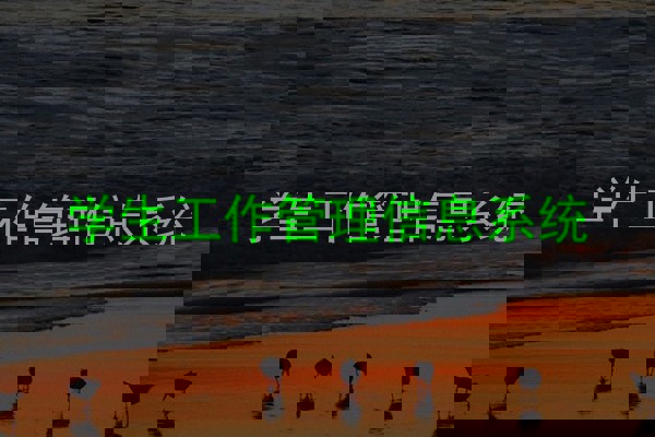 学生工作管理信息系统
