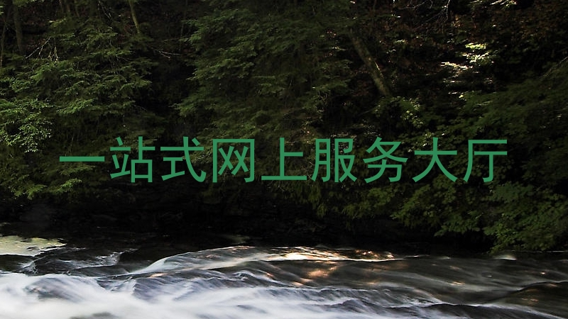 一站式网上服务大厅