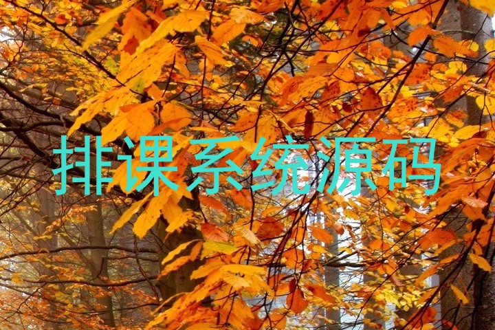 排课系统源码