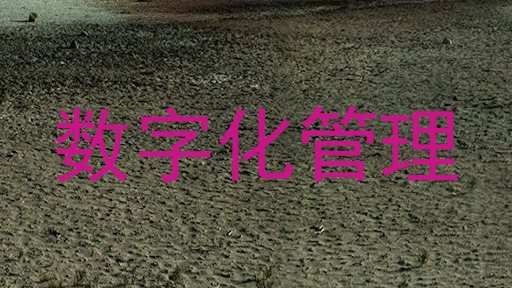 数字化管理