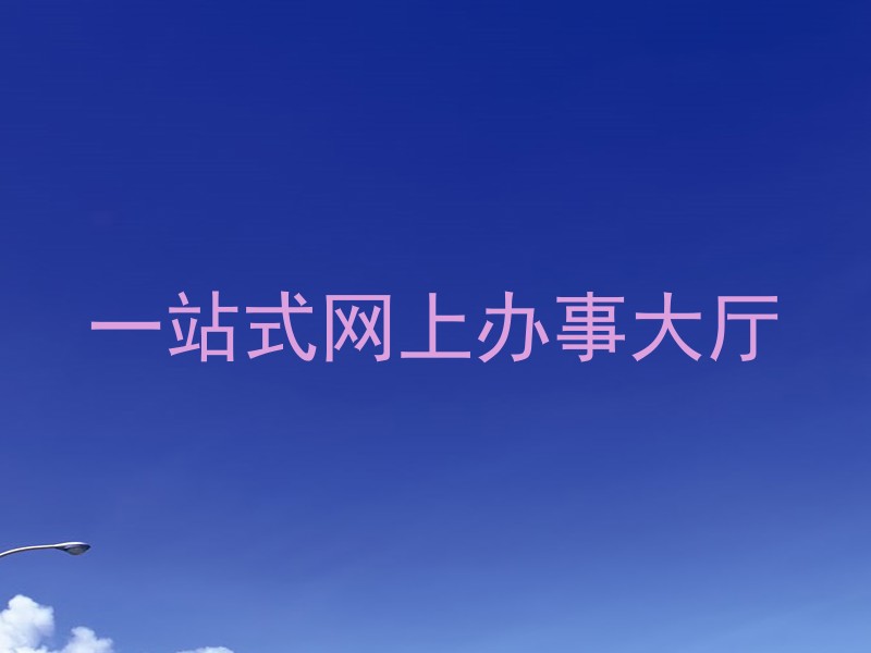 一站式网上办事大厅