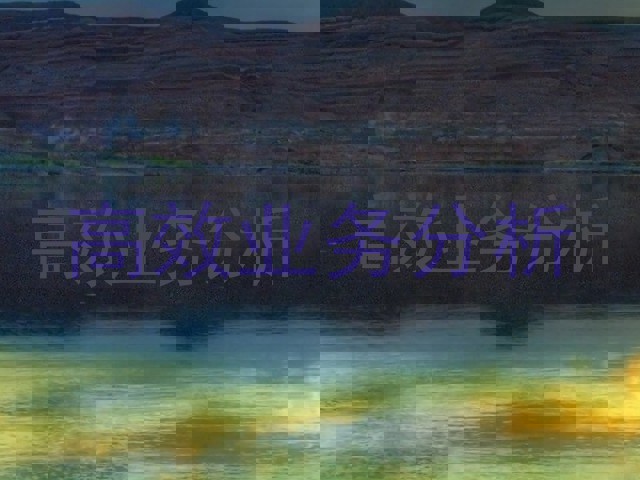 高效业务分析