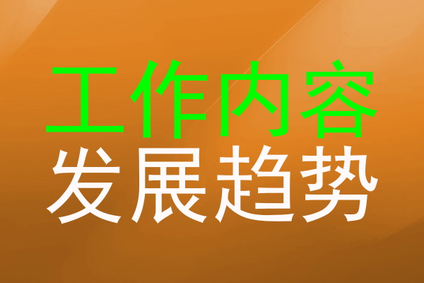 工作内容