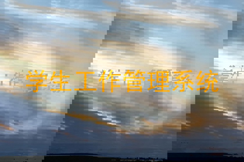 学生工作管理系统