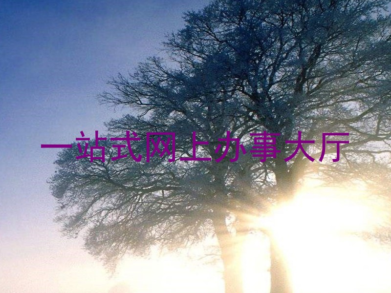 一站式网上办事大厅