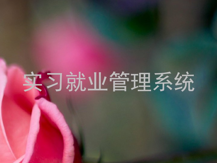 实习就业管理系统