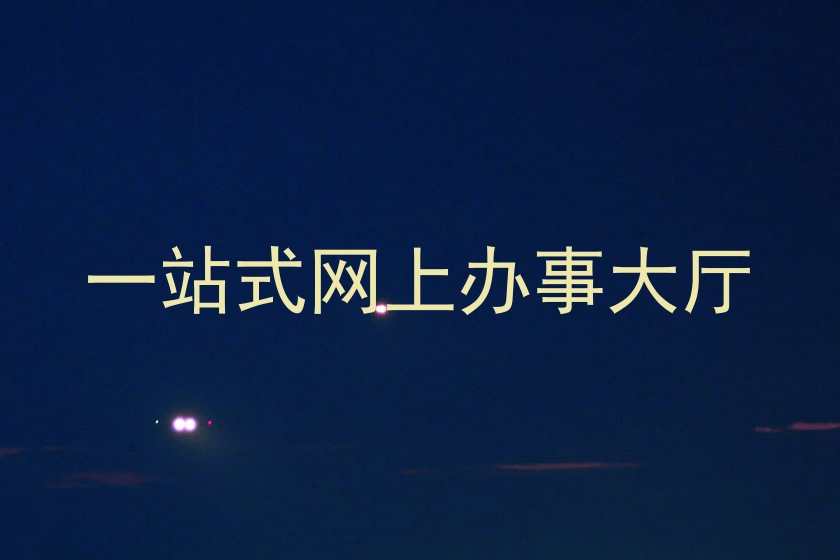 一站式网上办事大厅