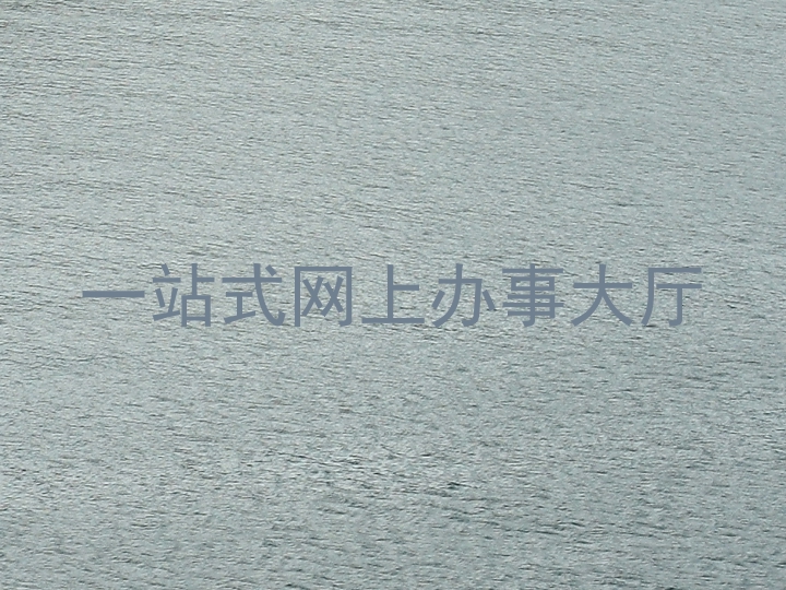 一站式网上办事大厅