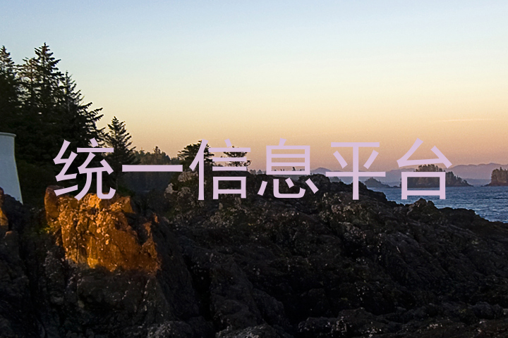 统一信息平台