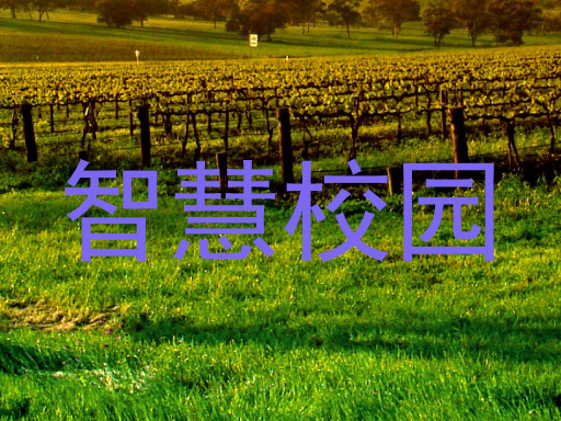 智慧校园