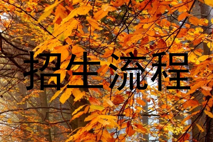 招生流程