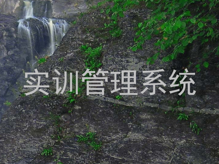 实训管理系统