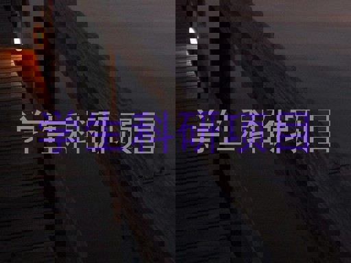 学生科研项目