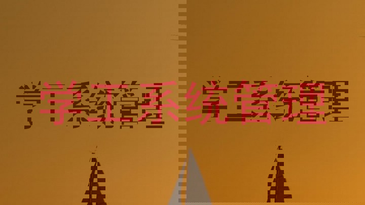 学工系统管理