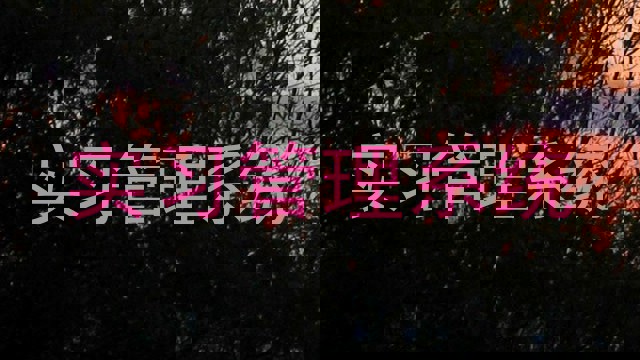 实习管理系统
