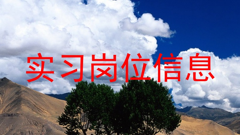 实习岗位信息